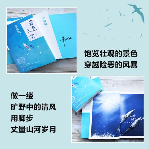 蓝天堂 商品图2
