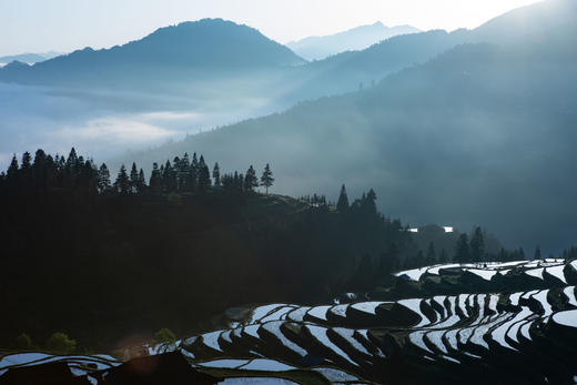 黔东南--台江红阳苗寨、加榜梯田、龙形冲茶田、格头村、黎坪牛耕部落、苗乡侗寨7天 商品图3