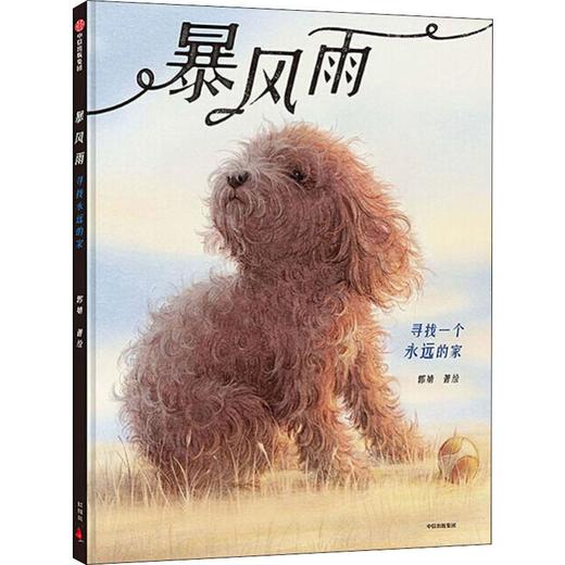 暴风雨 寻找一个永远的家 商品图0