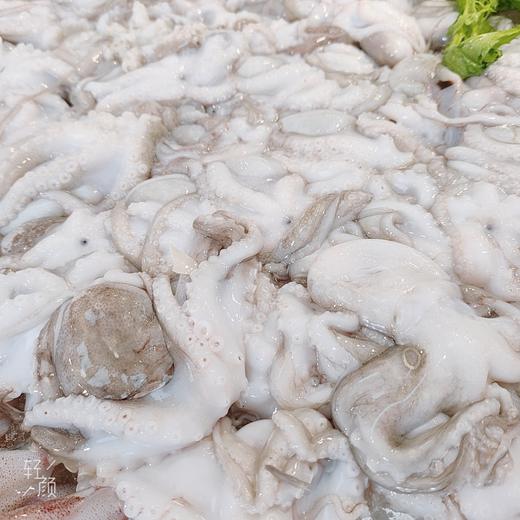 冰鲜八爪鱼(章鱼) /斤 商品图2