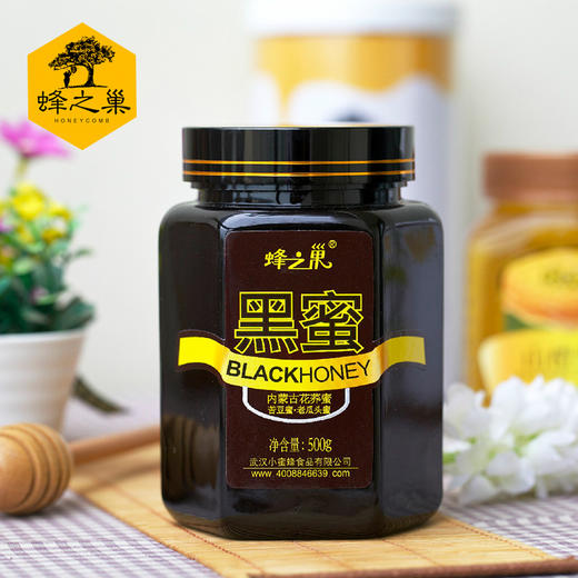 【蜂之巢】蜂之巢黑蜜 土蜂蜜 天然自产 百花液态蜜500g*2瓶（厂家直发） 商品图1