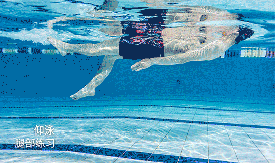 健美形体经常游泳可以增强我们的抵抗力,游泳的时候会消耗很大的能量