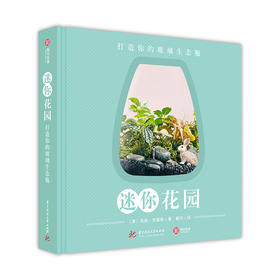 迷你花园：打造你的玻璃生态瓶 生态植物发烧友的DIY迷你植物花艺玻璃生态瓶
