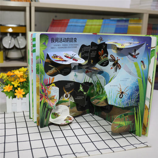 尤斯伯恩看里面 动物篇 2册（揭秘恐龙 +揭秘昆虫） 商品图4