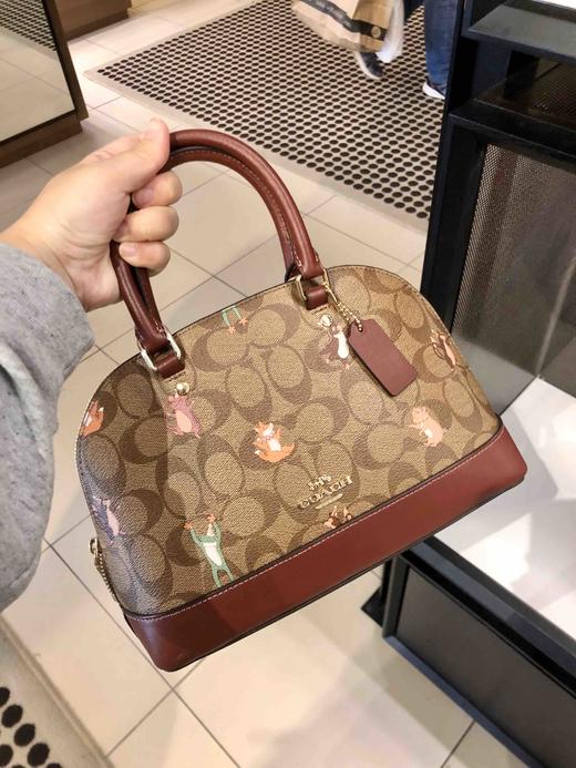 鼠年限定款上新!coach经典小贝壳包