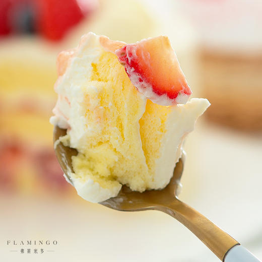 多丽丝 商品图2