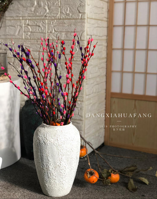 【 AB级银柳.都在这】10支/份.长约60-70cm（买两份送白色小花瓶1个） 商品图5