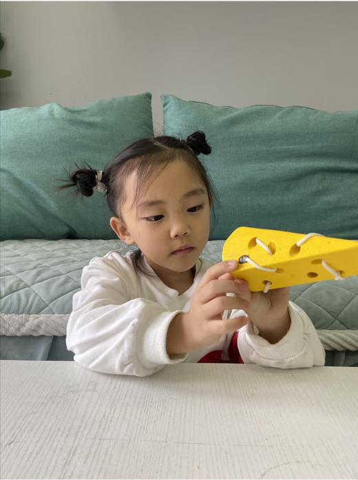 老鼠吃奶酪 商品图0