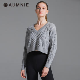 新品 | V领花形针织短上衣 / High Back Sweater