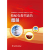 输配电典型缺陷图册 商品缩略图0
