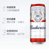 【整箱】百威啤酒500ml*18罐 商品缩略图7