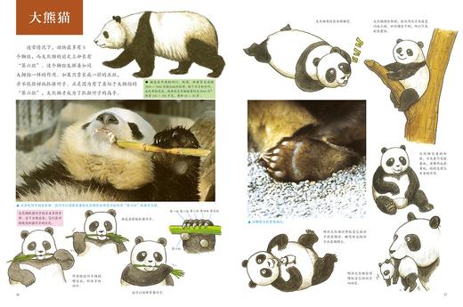 动物的身体系列之动 物的脚印精装本  儿童自然生命启蒙科普知识趣味百科全书  珍藏图鉴摄影图片集 浪花朵朵 后浪出版 商品图1