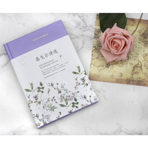 泰戈尔诗选 部编版阅读九年级上推荐阅读 商品图1