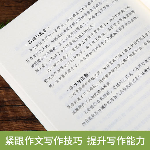 奇遇经典文库-绿山墙的安妮 中小学生课外阅读书 10-18岁儿童文学 商品图3