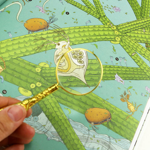 微观世界 谜一样的小生命（出版两年即获欧洲三大少儿非虚构类图书奖项 兼具科学严谨性和艺术冲击力的纪录片式科普图画书 带领小读者探索身边的微观世界） 商品图6