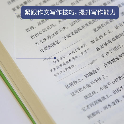 奇遇经典文库-森林报春 中小学生课外阅读书 10-18岁儿童文学 商品图3