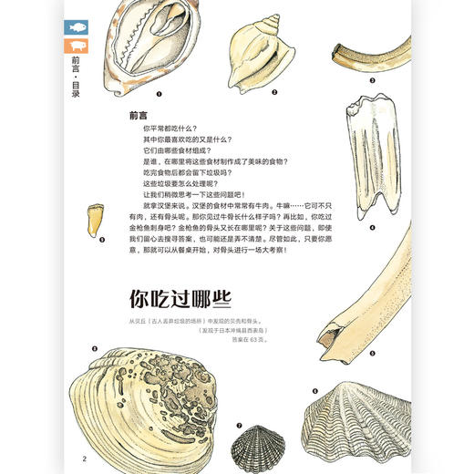 餐后骨头大考察 盛口满的手绘自然图鉴 日本童书研究会推荐儿童插图科普百科绘本书籍，浪花朵朵 后浪出版 商品图2