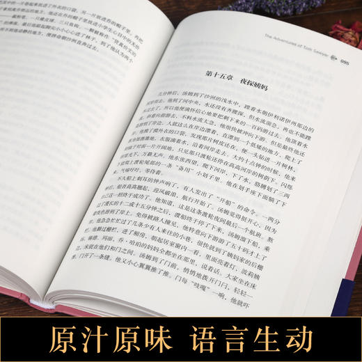 汉译经典文库-汤姆·索亚历险记 儿童文学 11-18岁 HL 商品图4