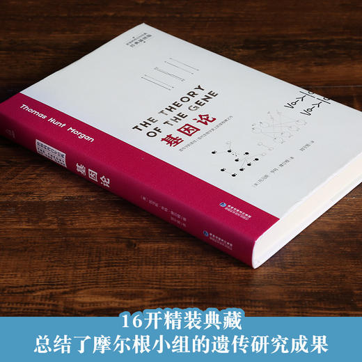 科普百科经典-基因论 科普百科 18岁以上 商品图2