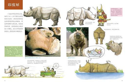 动物的身体系列之动 物的脚印精装本  儿童自然生命启蒙科普知识趣味百科全书  珍藏图鉴摄影图片集 浪花朵朵 后浪出版 商品图3