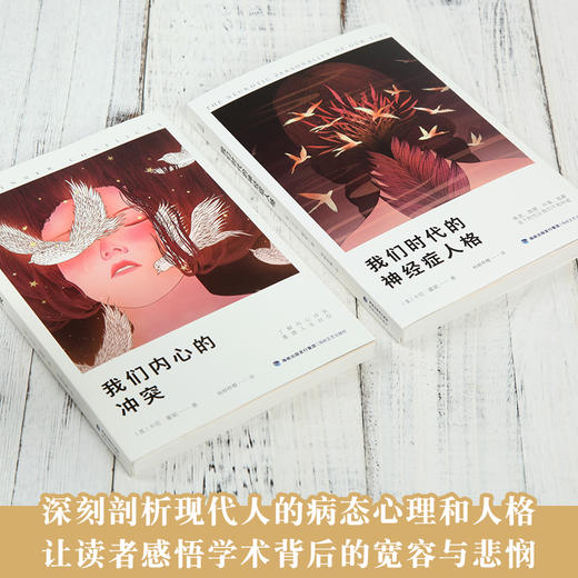 西方学术百年经典-我们内心的冲突/我们时代的神经症人格【共2册】 商品图2