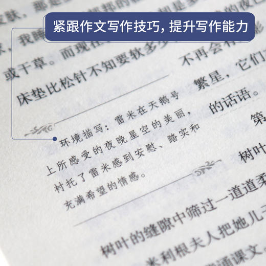 奇遇经典文库-苦儿流浪记 中小学生课外阅读书 10-18岁儿童文学 商品图5