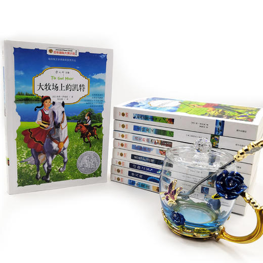 《百年国际大奖小说·国际超级大奖儿童小说系列》精选辑 全9册 商品图6