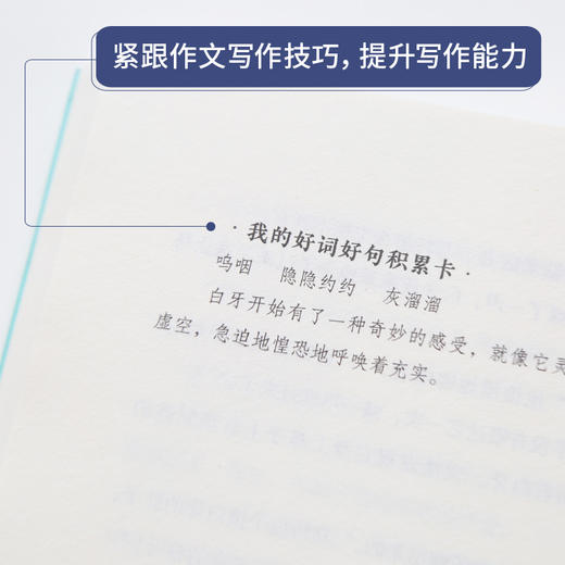 奇遇经典文库-荒野的呼唤 中小学生课外阅读书 10-18岁儿童文学 商品图3