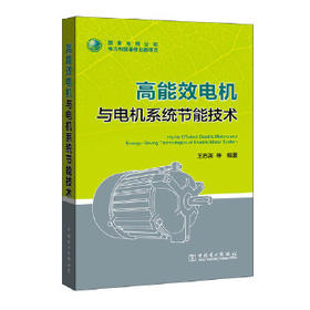 高能效电机与电机系统节能技术