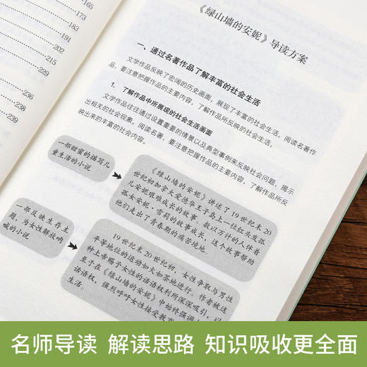 奇遇经典文库-绿山墙的安妮 中小学生课外阅读书 10-18岁儿童文学 商品图1