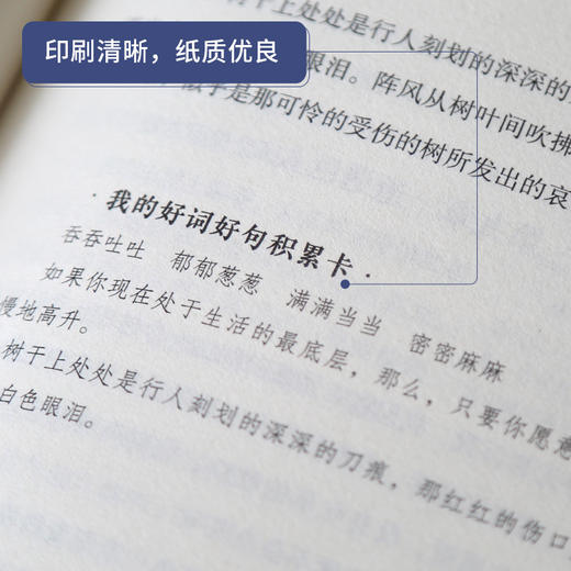 奇遇经典文库-苦儿流浪记 中小学生课外阅读书 10-18岁儿童文学 商品图6