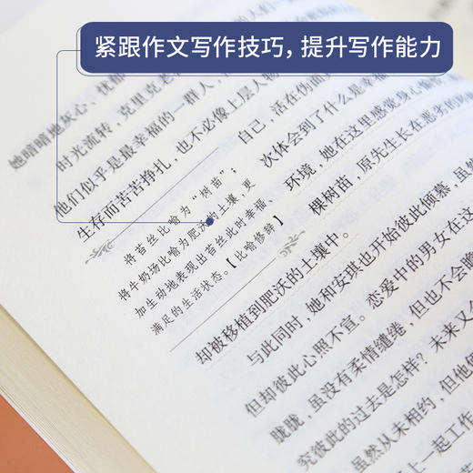 奇遇经典文库-苔丝 中小学生课外阅读书 10-18岁儿童文学 商品图3