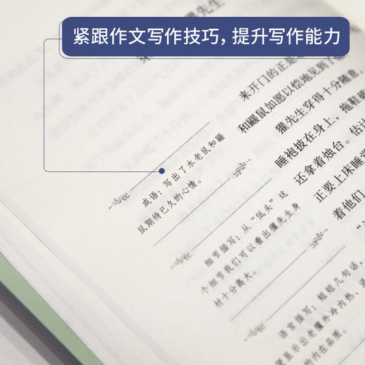 奇遇经典文库-柳林风声 中小学生课外阅读书 10-18岁儿童文学 商品图3