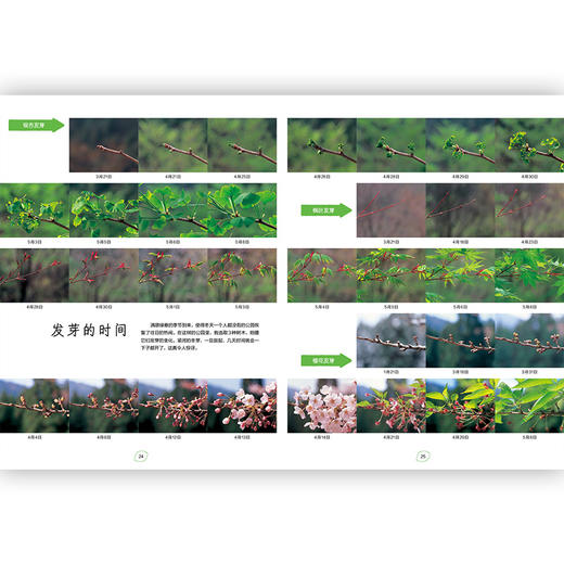 时间的珍藏 自然科普摄影艺术儿童认知书7-10岁 商品图1