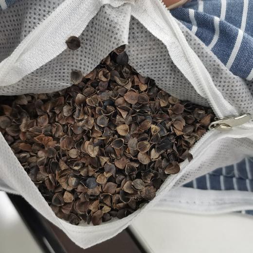 橙可爱全棉荞麦枕19027（每批花色样式不同 随机发）  商品图4