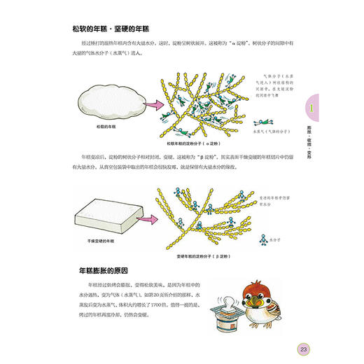 化学变变变 小学生化学入门基础教材 科普百科大全知识图书  浪花朵朵出品 商品图4