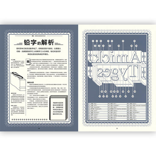 《常识：有用的无用的百科知识》儿童科普百科课外阅读书籍绘本 商品图3