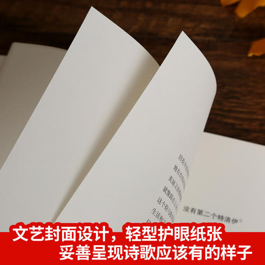 诺贝尔文学奖大系-当你老了 儿童文学 11-18岁 HL外国文学现当代文学小说 文学经典 诺贝尔文学奖作品名著读物 商品图4