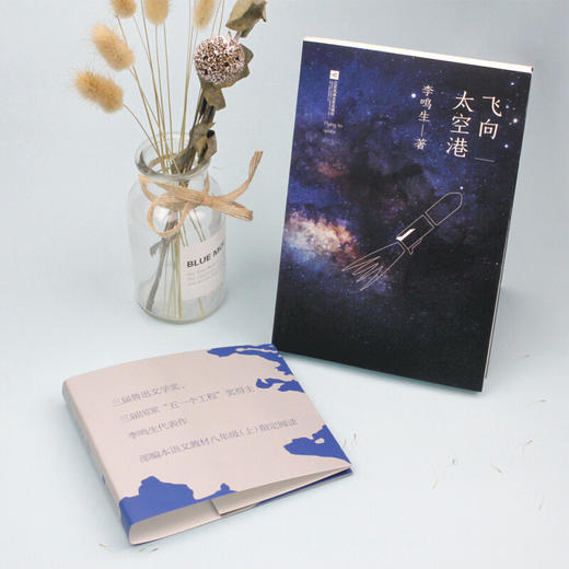 飞向太空港 部编版阅读八年级上推荐阅读 商品图3