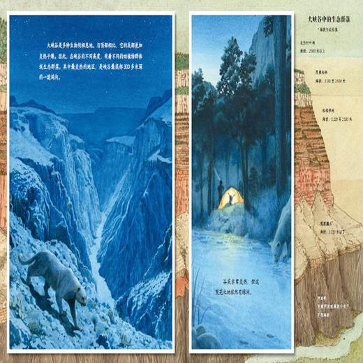 大峡谷(精)/诺贝尔科学馆 商品图1