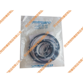 特别特福田江门GX85C方向机修理包（氟胶）