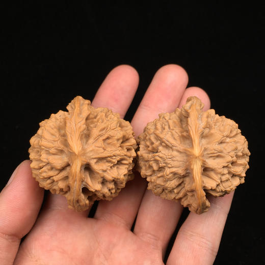 精品文玩核桃麒麟纹闷尖官帽48尺寸a35