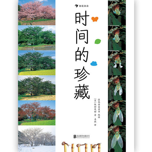 时间的珍藏 自然科普摄影艺术儿童认知书7-10岁 商品图4