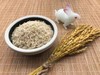 熬糙米汤 煮米饭  晚稻糙米 冬季米 稻谷米 大米 商品缩略图2