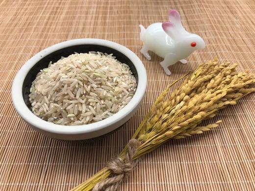 熬糙米汤 煮米饭  晚稻糙米 冬季米 稻谷米 大米 商品图2