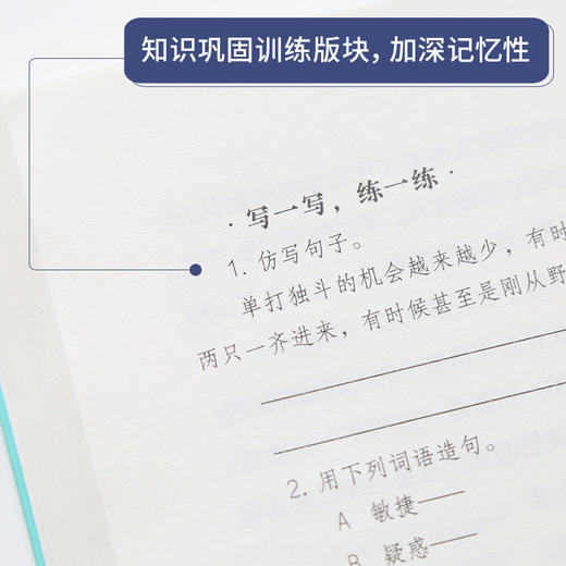 奇遇经典文库-荒野的呼唤 中小学生课外阅读书 10-18岁儿童文学 商品图2