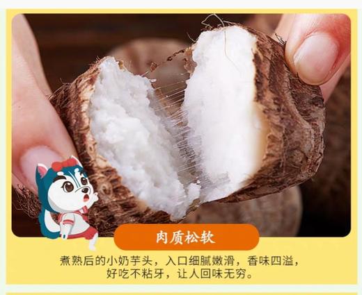 新鲜小芋头 毛芋头 软糯 2.8斤礼盒 商品图7