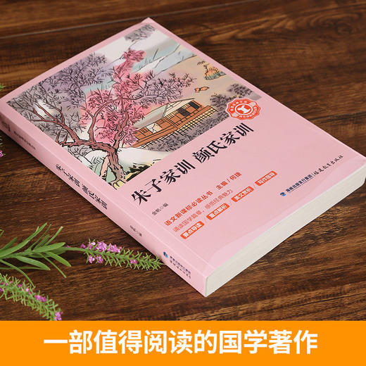 奇遇经典文库-朱子家训 颜氏家训 中小学生课外阅读书 10-18岁儿童文学 商品图2