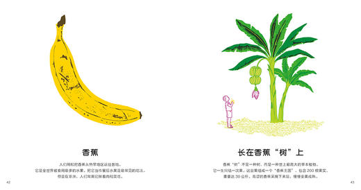 呀!蔬菜水果 83种蔬菜水果的秧苗都长什么样子 6-12岁小学生儿童植物科普百科读物绘本课外书  浪花朵朵 后浪出版 商品图2