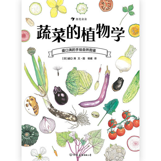 蔬菜的植物学 盛口满的手绘自然图鉴 日本童书研究会推荐儿童插图科普百科绘本书籍，浪花朵朵 后浪出版 商品图4